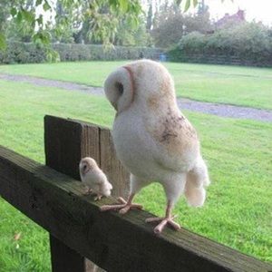 Meet your Posher, Lorraine